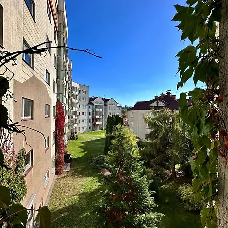 Blue Entire Flat *